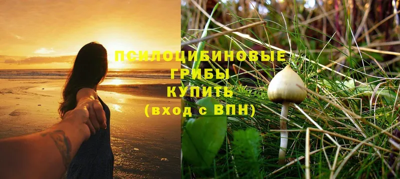 Галлюциногенные грибы Magic Shrooms  купить наркотики цена  Дедовск 